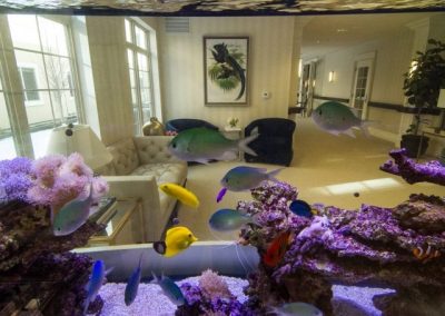 aquarium